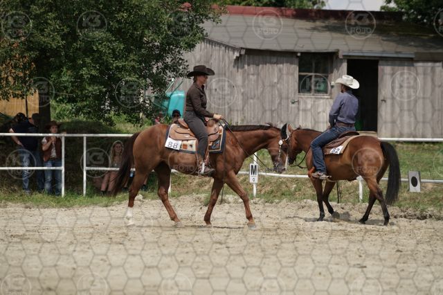 s_K3F07089.JPG